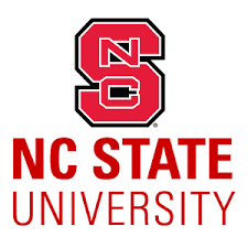 Assistant Professor
